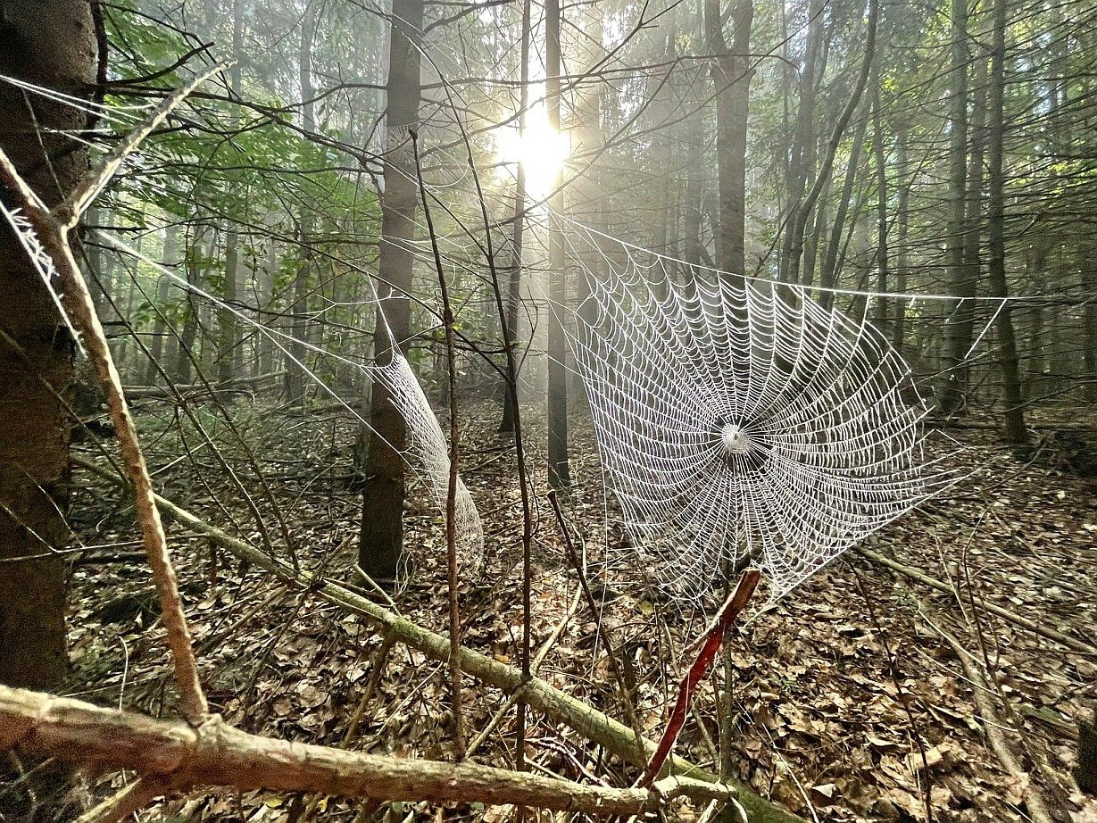 wandertag1