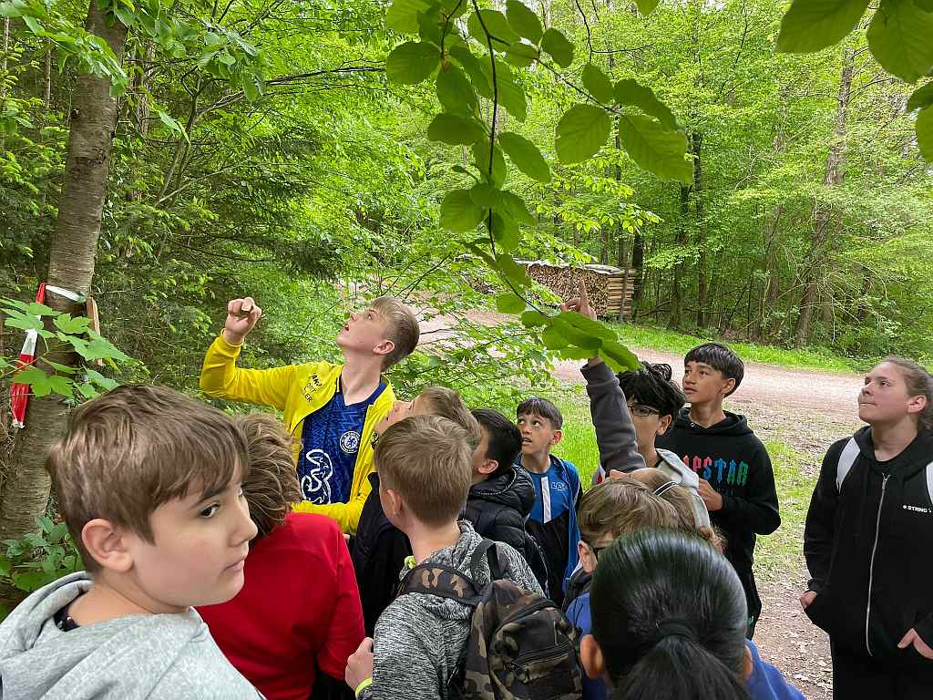 waldjugendspiele 1